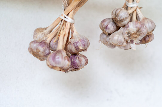 garlic braid hanging on white textured wall with copyspace concept of food, agriculture