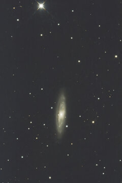 渦巻銀河 M65 2026