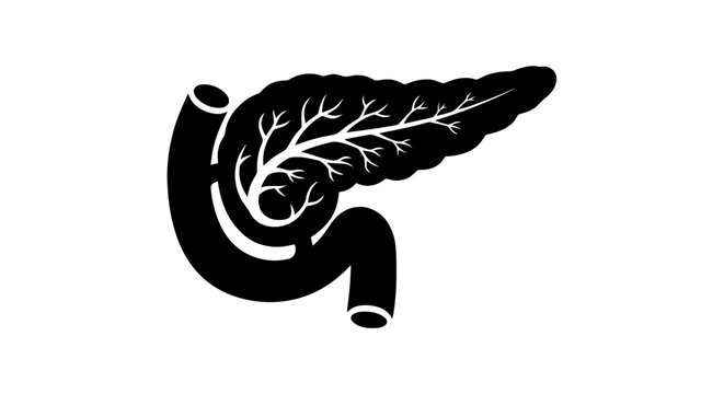 Vector illustration&nbsp;of pancreas and duodenum icon vector illustration on a transparent background