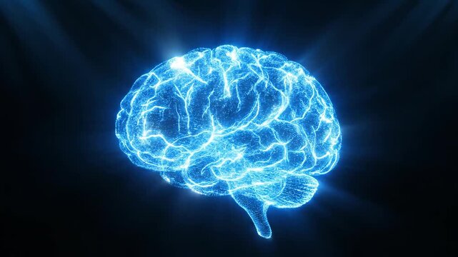 Brain Power - Visualizing Intelligence and Cognitive Function with Neural Networks.