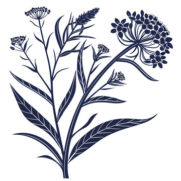 milkweed silhouette on white background