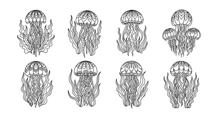 Detailed illustration of various jellyfish with ornate swirling patterns © Begum