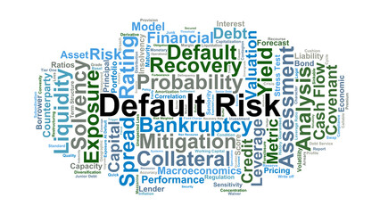 Fototapeta premium Default Risk Word Cloud. A Professional Overview of Credit Assessment, Probability of Loss, and Financial Metrics Used by Analysts to Evaluate Borrower Obligations and Market Stability.