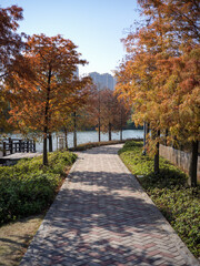 Naklejka premium Autumn Scenery at Xiamen Yuanbo Garden, Fujian Province