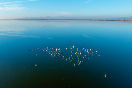 Eber lake and flamingos resting on the lake, Afyonkarahisar, Turkey