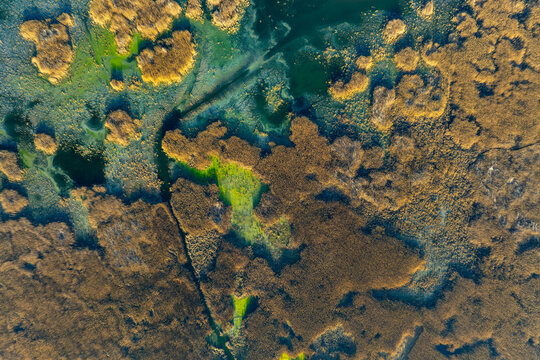 Eber lake and reeds, Afyonkarahisar, Turkey