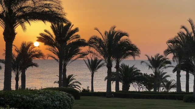 Morze Czerwone, Egipt, Marsa Alam, بورت غالب