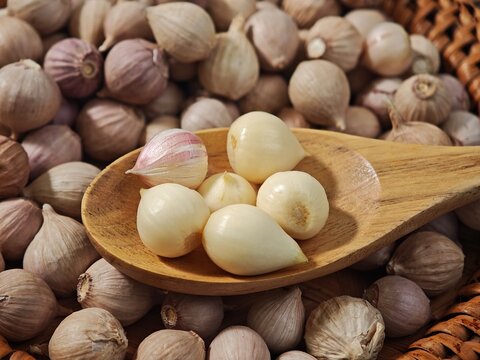 Single clove garlic,Thai herbs, health food, pickled garlic ,organic