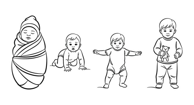 Line art illustration depicting a baby s growth stages from infant to toddler