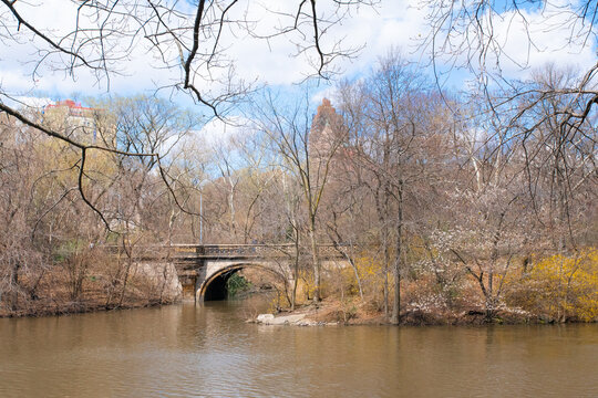 Scenic view of Central Park in New York City in the spring with lake in view