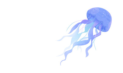 jellyfish in blue © zorica