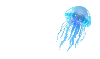 jellyfish on white background © zorica