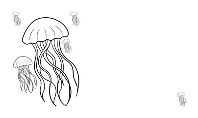 sketch of jellyfish © zorica