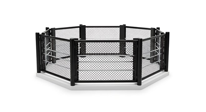 An empty professional mixed martial arts octagon fighting cage with black bars on a white background.