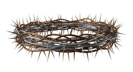 Fototapeta premium Barbed wire coil on white background.