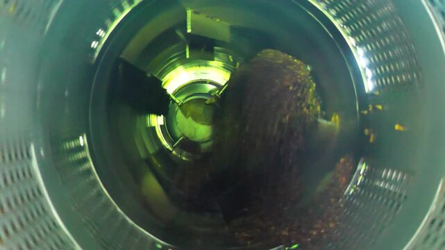 Inside an Industrial Palm Oil Digester Machine Processing Fruit Mash during Oil Extraction