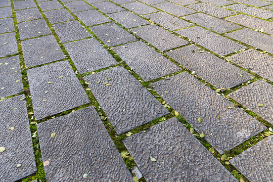 Mossy stone slab road ground texture material