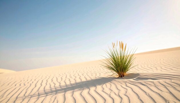 Single Green Plant Growing in White Desert Sand Dunes Under Clear Blue Sky, Concept of Resilience and Survival in Harsh Environment, Minimalist Nature Landscape with Sand Ripple Pattern