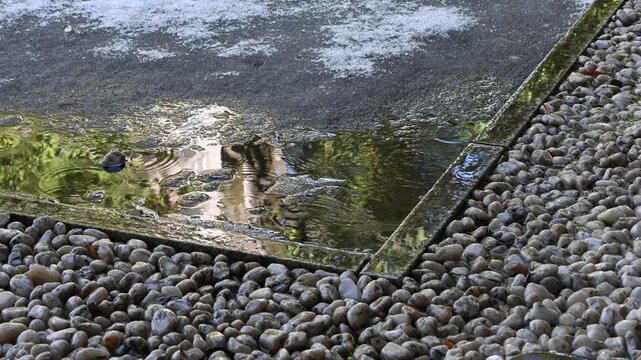 屋根から滴る雨水