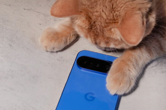 Minsk, Belarus, 03.22.2026. Google Pixel 10, blue, indigo. Phone