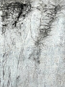 Cement wall with black plant root texture, suitable for texture design.