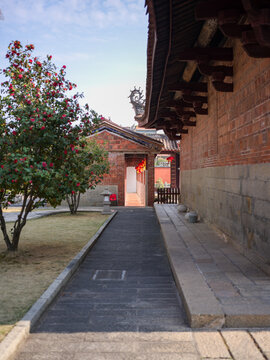 Xiamen Tongan Confucian Temple Red Brick Alley Blooming Camellias
