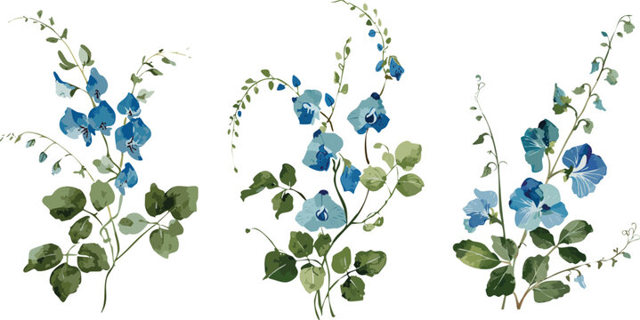 Chinese asian style watercolor painting of blue pea blossom vines, stylized brush strokes transparent vector digital illustration of botanical flowers, floral drawing japanese ink wash gouache graphic