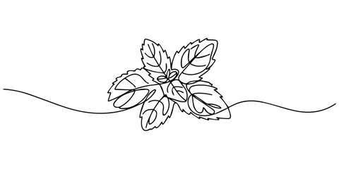 Mint leaf continuous line drawing vector illustration, Vector continuous one single line drawing icon of  fresh garden mint leaves in silhouette sketch on white background. Linear stylized. minimalist © Gerish