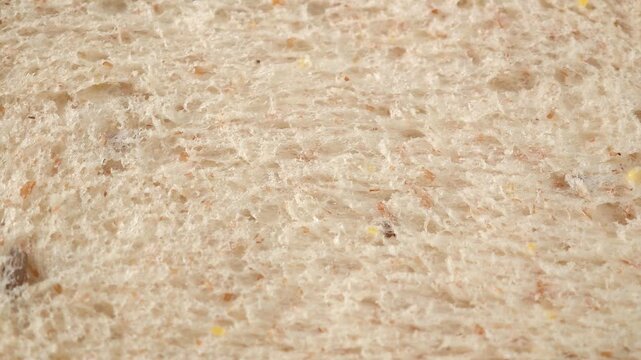 Video clouse up of whole wheat bread	