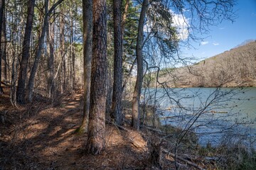 Fototapeta premium Lake Russell Recreation Area