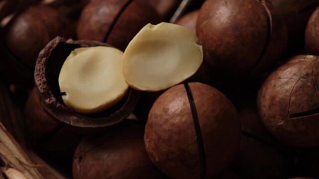 Macadamia nuts	