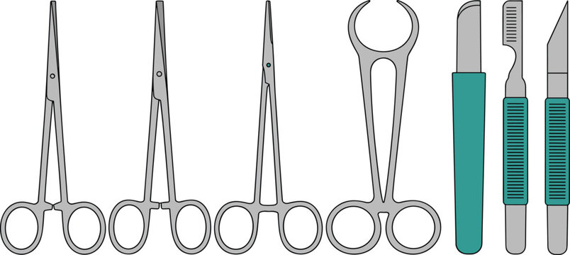 Vector illustration of surgical instruments including scissors, forceps, clamps, and scalpels for medical and educational design