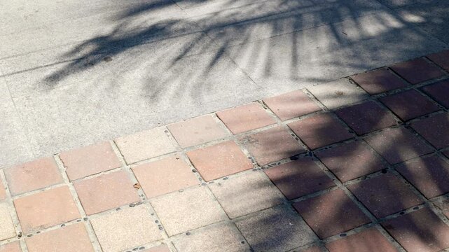 Static shot of palm tree shadow slowly drifting across red tile and concrete sidewalk in sunny urban outdoor setting