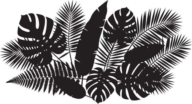 pure black silhouette on pure white background of tropical leaves