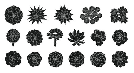Fototapeta premium Hand Drawn Succulent Plant Silhouette Bundle, Top View Desert Cactus Flower Black Glyph Icon Vector Set