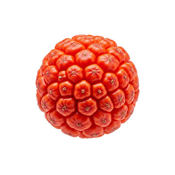 raspberry isolated on white