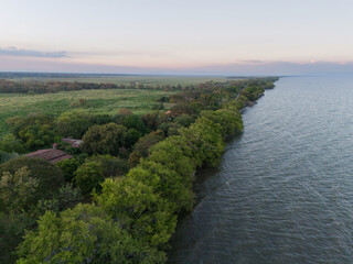 Fototapeta premium Green trees on lake shore