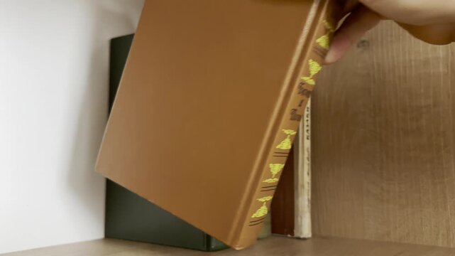 Close-up of a hand reaching for a book on a shelf in warm indoor light, showing a quiet reading or library moment.
