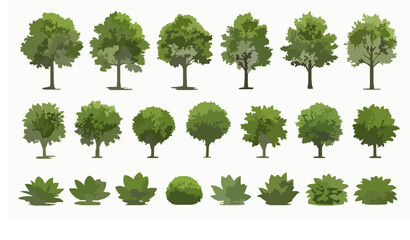 Realistic green trees and garden plants vector collection botanical foliage set isolated on white © Morsed