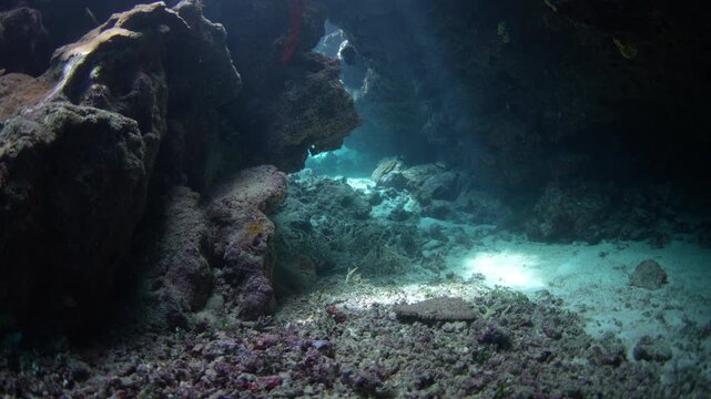Light falls into an underwater cavern on a coral reef in Fiji. This South Pacific island group harbors high marine biodiversity and is a popular destination for divers and snorkelers.