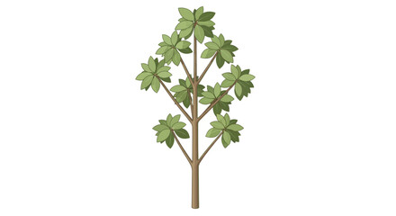 Fototapeta premium green tree isolated on white background