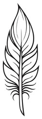 Obraz premium Detailed Black and White Feather Line Art Illustration Elegant Design