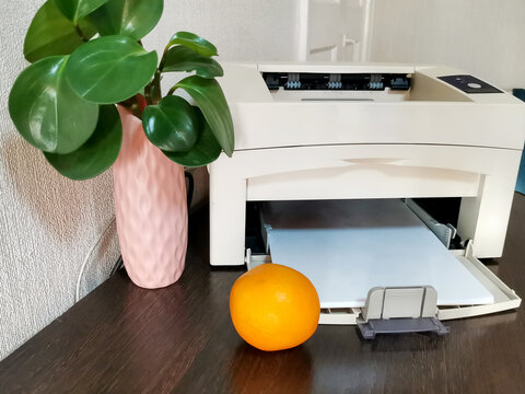 White printer with paper on dark wooden desk. Green plant in pink vase and fresh orange beside. Home office setup for remote work, business documentation, millennial workspace