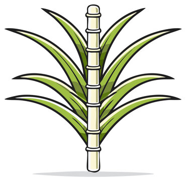 Cartoon Sugar Cane Plant with Leaves, Isolated Illustration