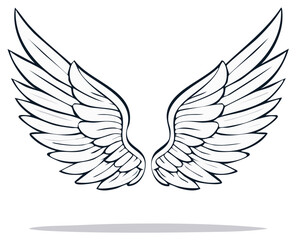 Fototapeta premium Detailed outline of angel wings in monochrome illustration, spread and isolated.