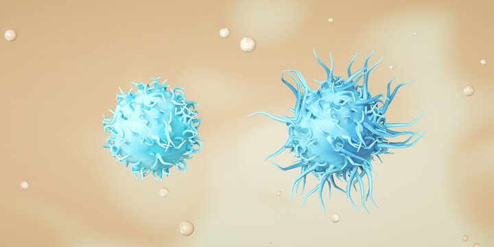 Regulatory T cell (Tregs) and cytotoxic T cell. Photo stock