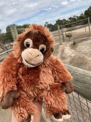brown orangutan soft toy © Karey