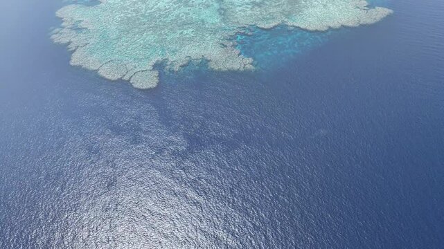 Seen from a bird's eye view, an impressive platform reef, named "E6," sits in the midst of the Bligh Channel east of Viti Levu, Fiji. The reef is home to extensive coral growth and fish diversity.
