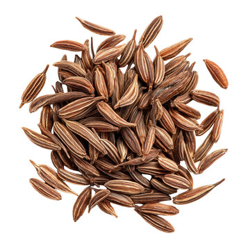 dried cumin seeds on transparent png background