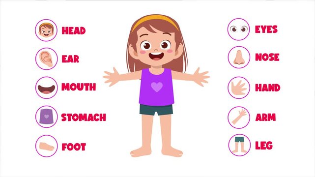 Kids Learning Human Body Parts Cartoon Illustration